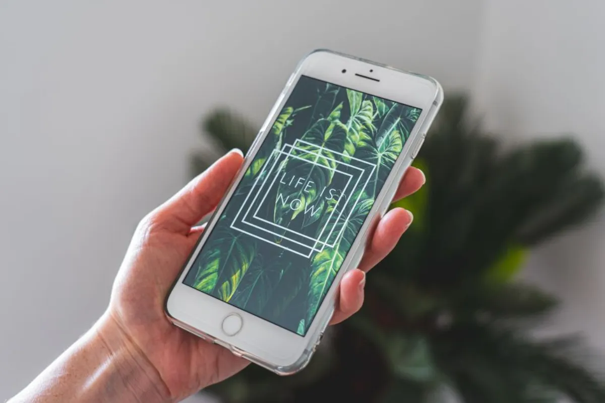 phone wallpaper
